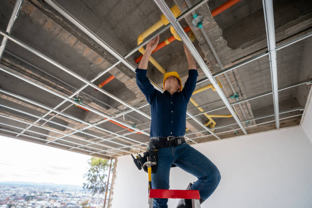 Best Local Plumber Services  in Windsor Heights, IA