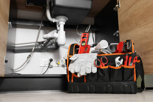 Best Affordable Plumbing Services  in Windsor Heights, IA