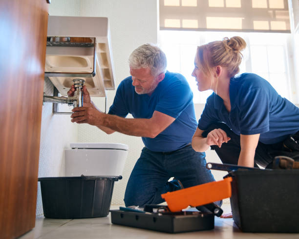 Best Faucet Repair  in Windsor Heights, IA